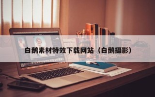 宝应县白鹅素材特效下载网站（白鹅摄影）